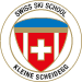 Schweizer Skischule Kleine Scheidegg, zwischen Grindelwald und Wengen - Improve your style.